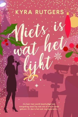 Niets is wat het lijkt - cover