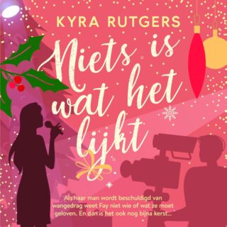 Niets is wat het lijkt - cover