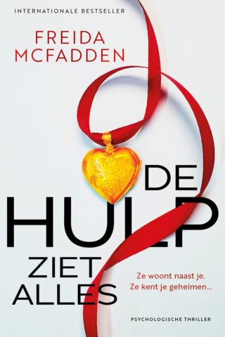 De hulp ziet alles - cover