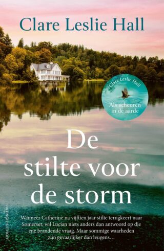 De stilte voor de storm - cover