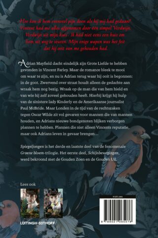 Spiegeljongen - achterkant