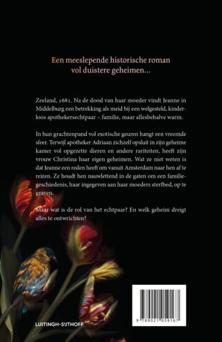 De wonderkamer - achterkant