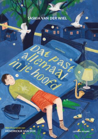 Dat past allemaal in je hoofd - cover